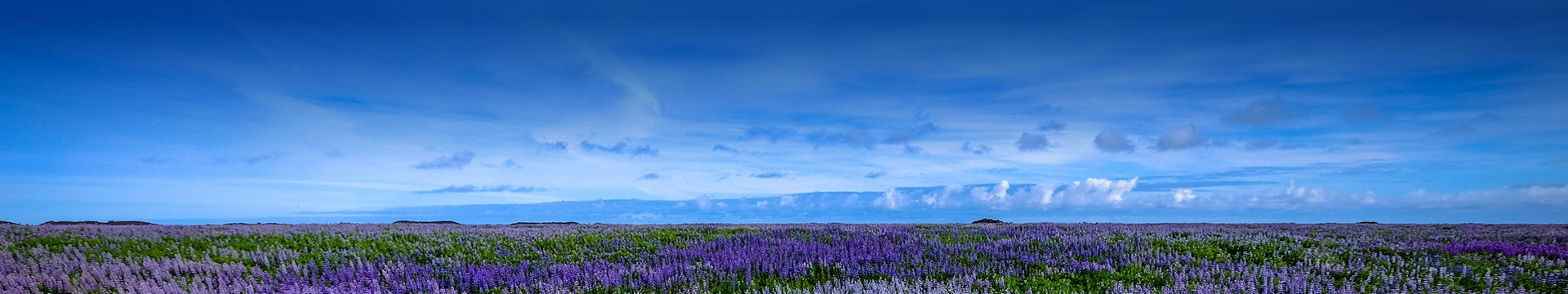 武汉流芳陵园